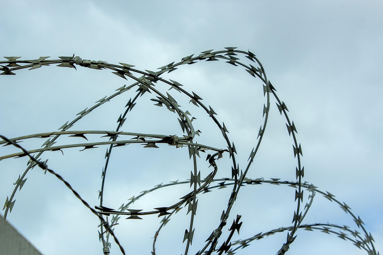 Optimalisasi Proses Impor dan Ekspor Melalui Layanan Bea Cukai Halmahera Selatan