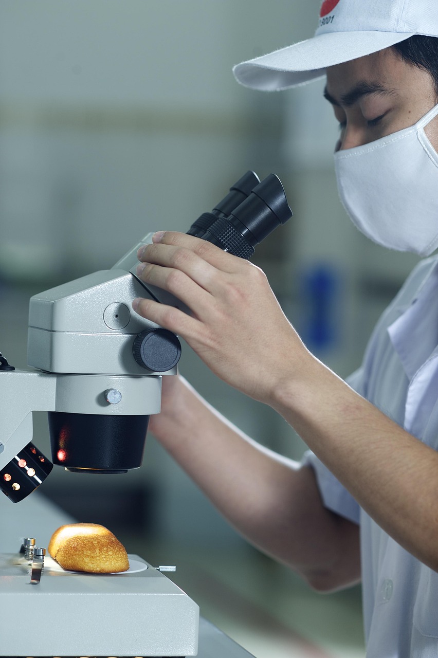 Inovasi Layanan Bea Cukai Halmahera Selatan yang Meningkatkan Efisiensi