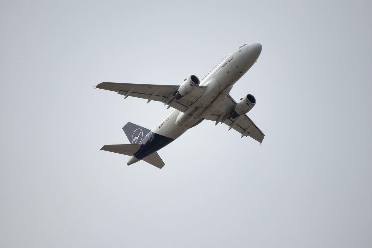 Kebijakan Bea Cukai Halmahera Selatan untuk Pengembangan Ekonomi Lokal